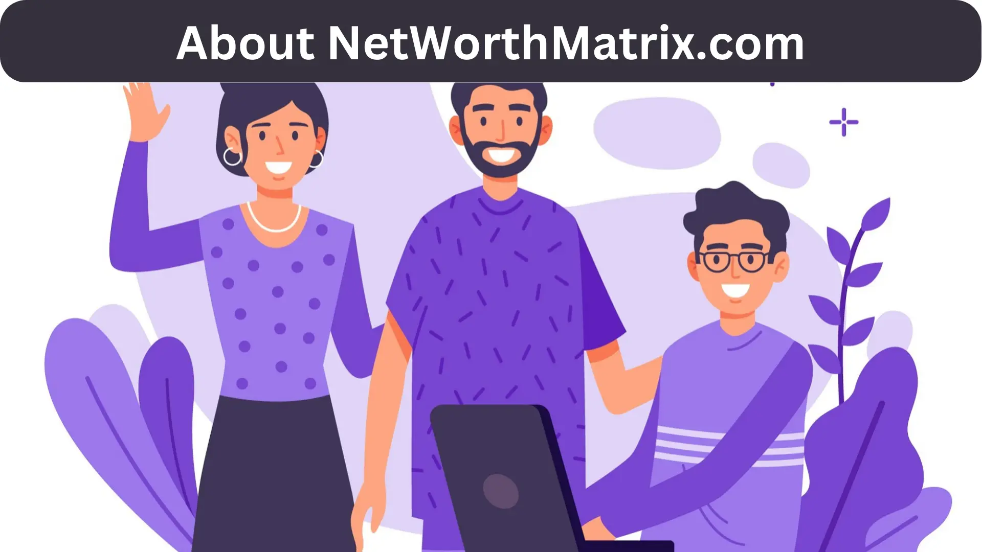 About NetWorthMatrix.com