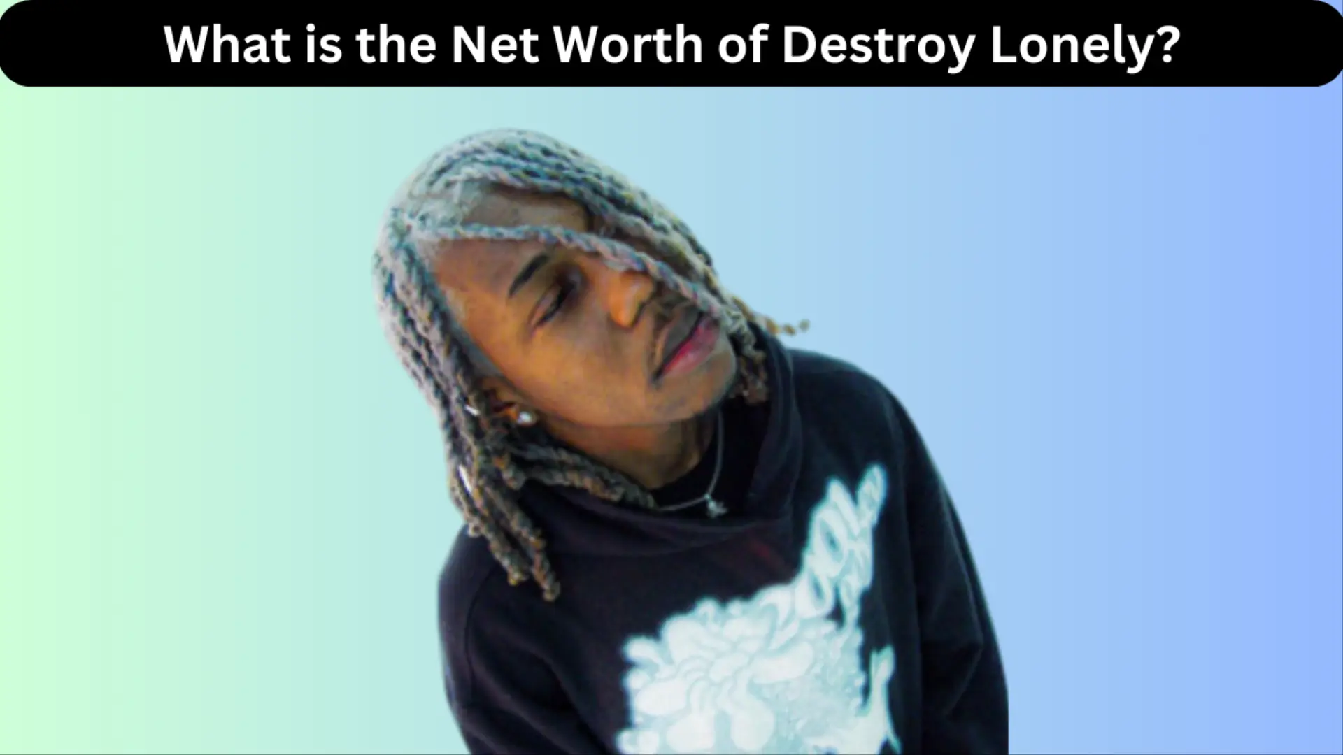 What is the Net Worth of Destroy Lonely
